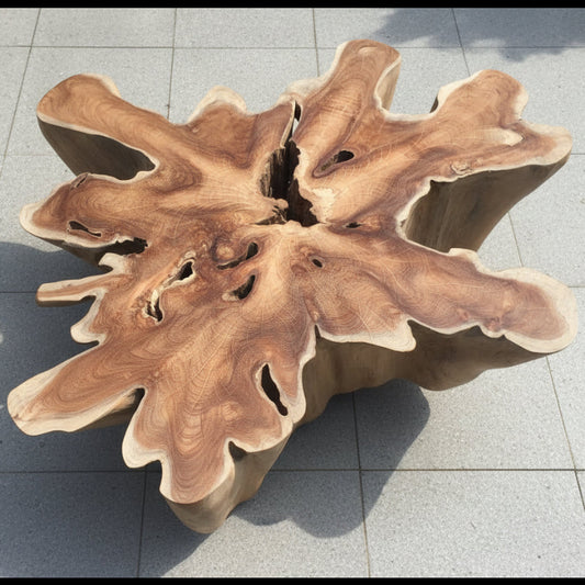 Organic shaped teak root coffee table on a concrete floor