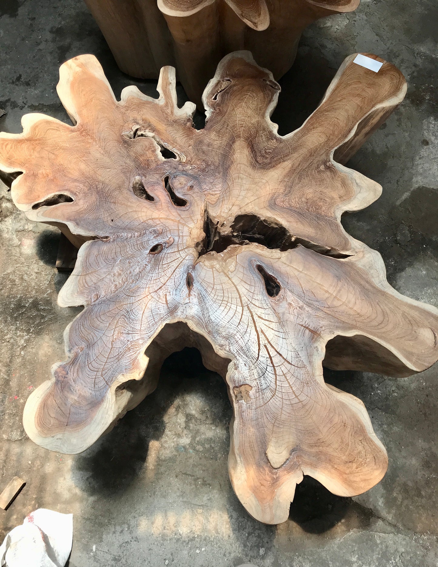 Teak Root Coffee Table