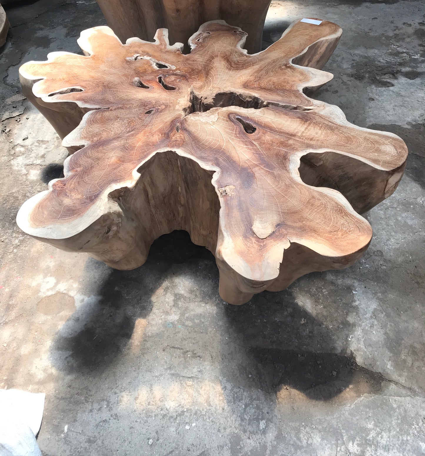 Teak Root Coffee Table