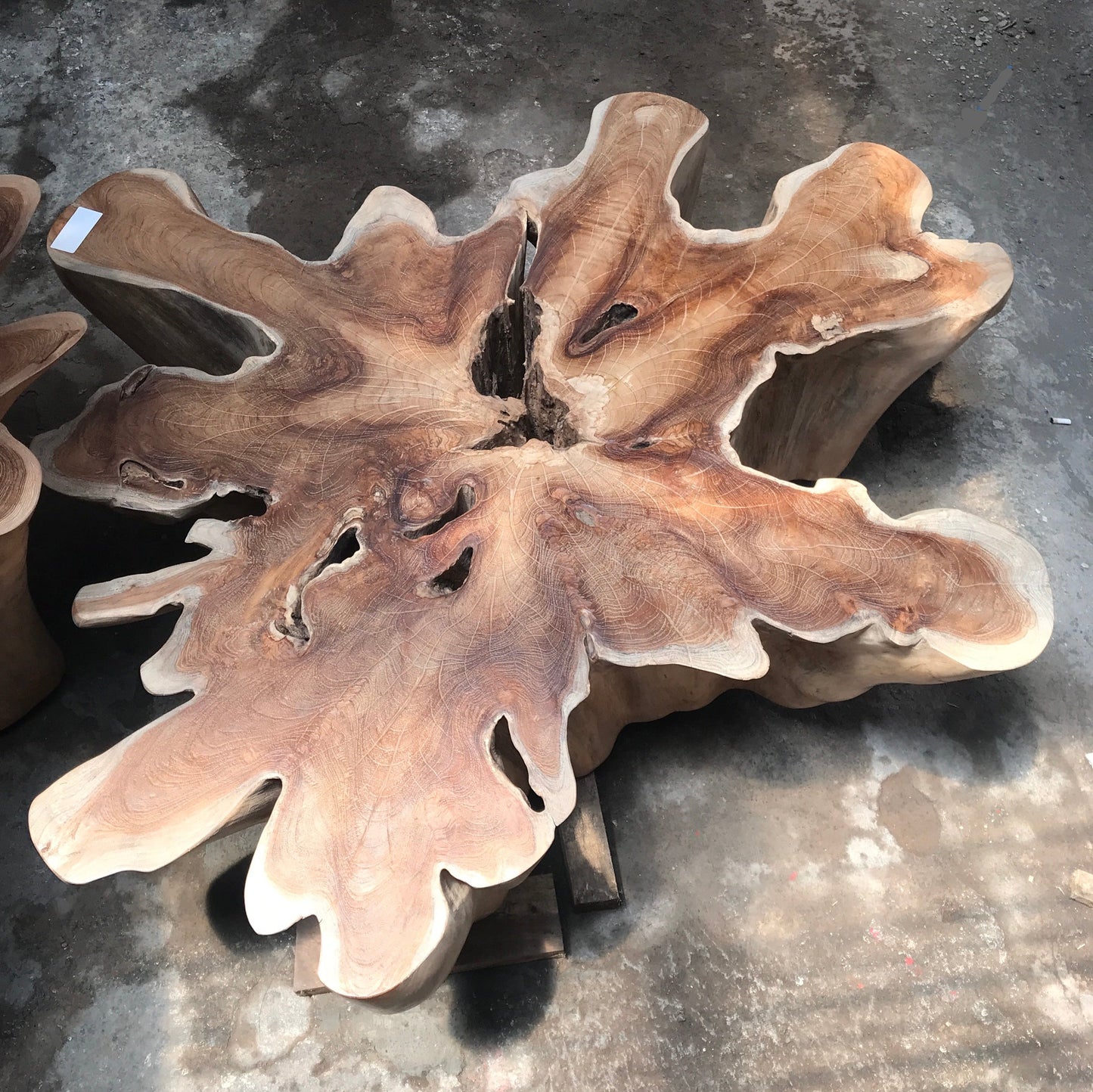 Teak Root Coffee Table