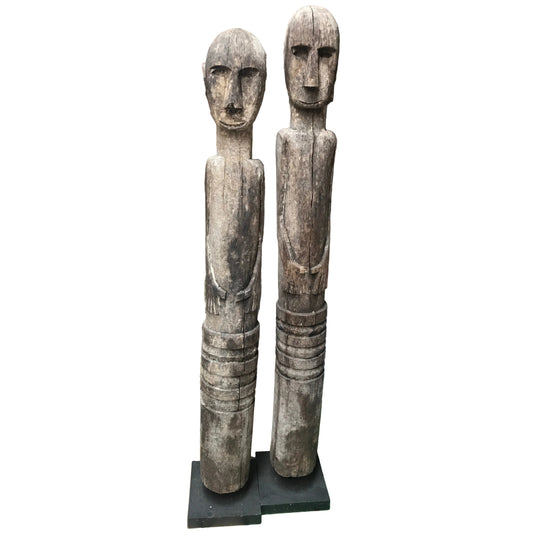 Hand-carved wooden Timor ancestor statues on black museum stands, measuring 107cm and 112cm, featuring primitive faces and weathered wood.